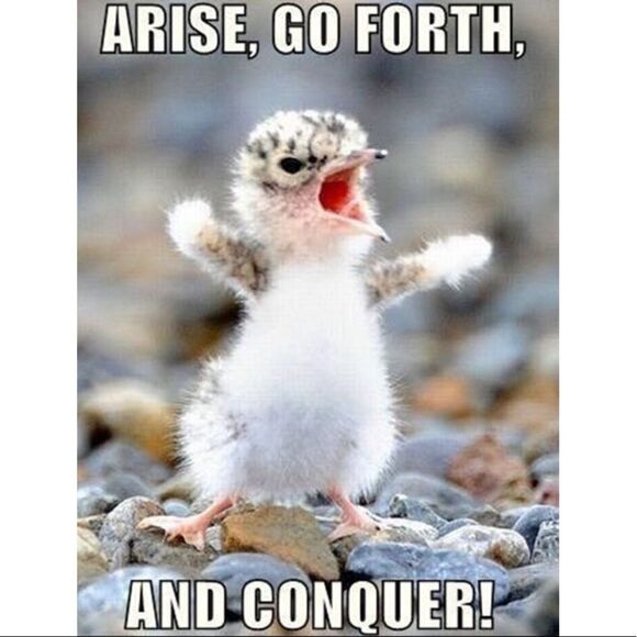 Michael Kors Gold Glitter Milan Platform Peep-Toe Pumps - Size 8.5 - Picture 16 of 16